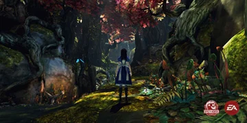 A nicely-lit forest environment