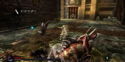 overview or castle shot