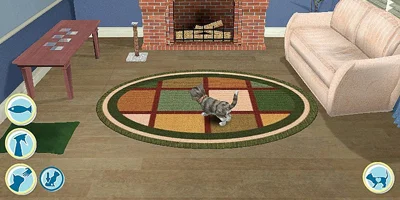 A kitten walking round a lounge