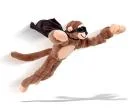 Flying Animals - Flying Monkey Afbeelding 1