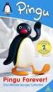 Pingu - Pingu Forever! ( Ultimate Pingu Verzameling) Afbeelding 1