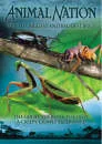 Animal Nation - Worlds Biggest Baddest Bugs Afbeelding 1