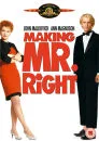 Making Mr. Right Afbeelding 1