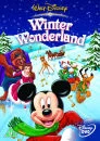 Winter Wonderland Afbeelding 1