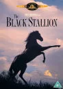 The Black Stallion Afbeelding 1
