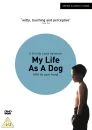 My Life As A Dog Afbeelding 1