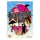 The Flamingo Kid Afbeelding 1