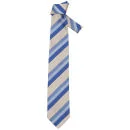 Gianfranco Ferre Men's Designer Silk Tie - Blue Afbeelding 1