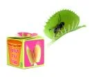 Grow your own Venus Fly Trap Afbeelding 1