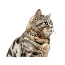 G-Paws Pet GPS Tracker System - Black Afbeelding 1