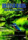 British Birds - Birds Of British Countryside Afbeelding 1
