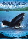 Animal Nation - The Lost Whales Afbeelding 1