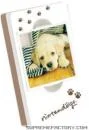 Puzzle Case - Labrador Afbeelding 1