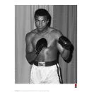 Muhammad Ali Fine Art Print - Stance Afbeelding 1