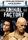Animal Factory Afbeelding 1