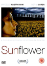 Sunflower Afbeelding 1