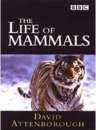 The Life Of Mammals Afbeelding 1