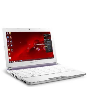 Packard Bell Dot 10.1 Inch SC/Atom Netbook N2600 (1GB RAM 320GB HDD W7S Purple and White) Afbeelding 1