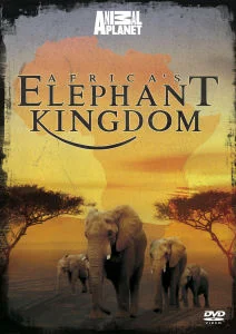 Africas Elephant Kingdom Afbeelding 1