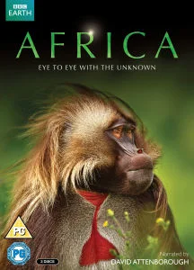 Africa Afbeelding 1