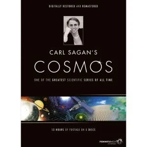 Cosmos Afbeelding 1