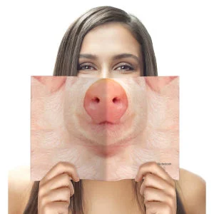 Animal Face Notebook - Varken Afbeelding 1