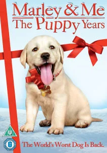 Marley and Me 2: Puppy Years Afbeelding 1