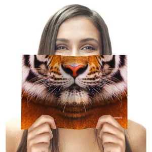 Animal Face Notebook - Tijger Afbeelding 1