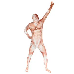 Morphsuits Premium - Muscle - M - Muscle Afbeelding 1