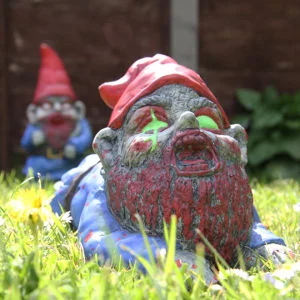 Zombie Gnome Crawler Afbeelding 1