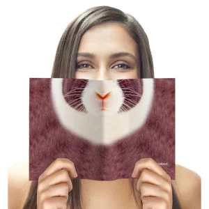 Animal Face Notebook - Rabbit Afbeelding 1