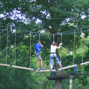 High Ropes Adventure (Adult) Afbeelding 1
