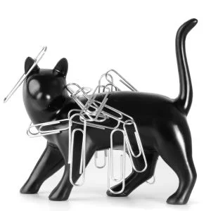Pussy Magneet Afbeelding 1