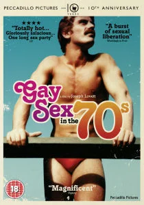 Gay Sex In The 70s Afbeelding 1