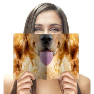 Animal Face Notebook - Hond Afbeelding 1