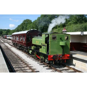 Adult Rover Train Ticket Special Offer Afbeelding 1