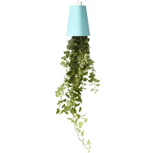 Sky Planter Upside Down Indoor Plant Pot - Pastel Blue Afbeelding 1