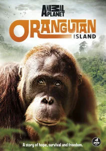 Orangutan Island Afbeelding 1