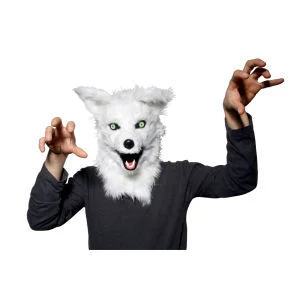 Mr Fox Costume Head Afbeelding 1