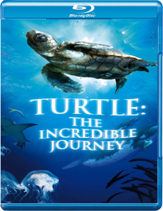 Turtle: Incredible Journey 3D Afbeelding 1