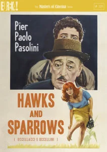 Hawks and Sparrows Afbeelding 1