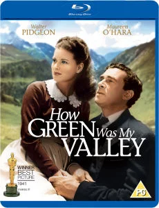 How Green Was My Valley Afbeelding 1