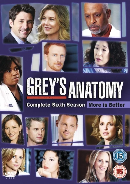 Greys Anatomy - Seizoen 6 Afbeelding 1