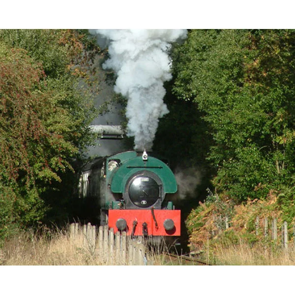 Introductory Steam Train Driving Experience in Yorkshire One Hour Afbeelding 1