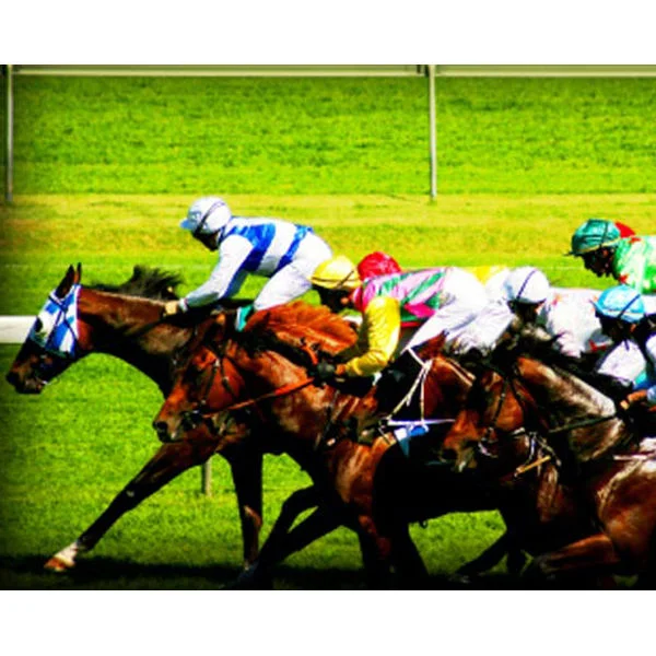 Classic Day at the Races for Two Afbeelding 1