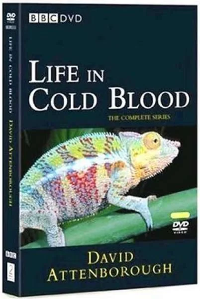 Life In Cold Blood Afbeelding 1