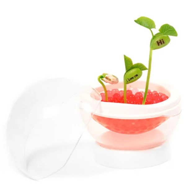 Beanstalk Pod Afbeelding 1