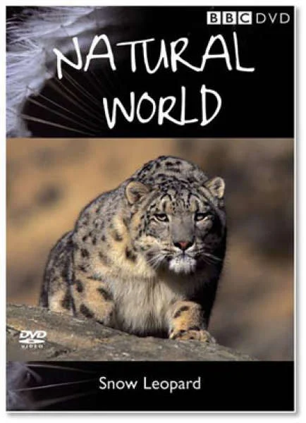 Natural World - Snow Leopard Afbeelding 1