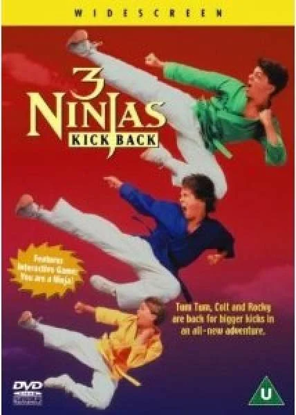 3 Ninjas Kick Back Afbeelding 1