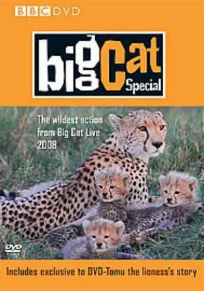 Big Cat Diary - The Special Afbeelding 1